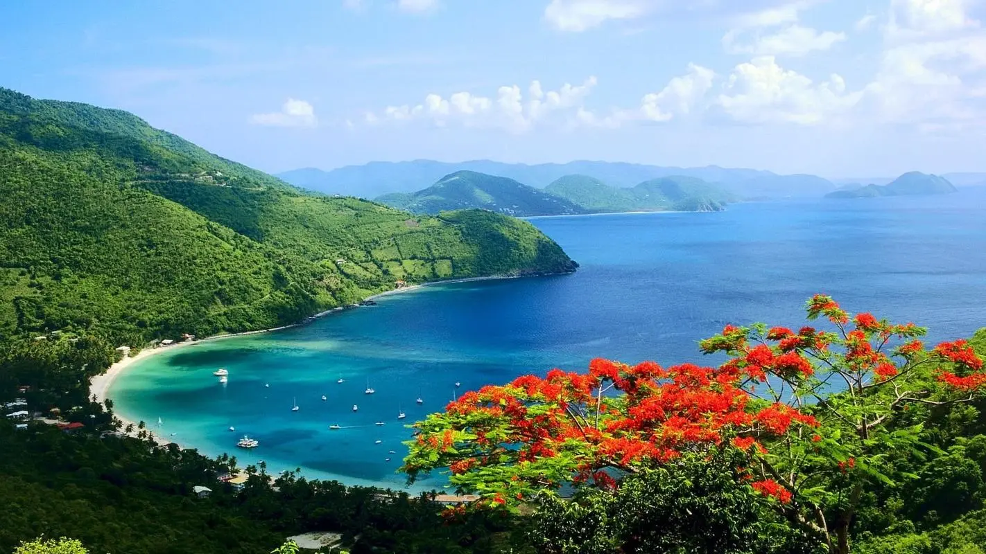 高端智慧